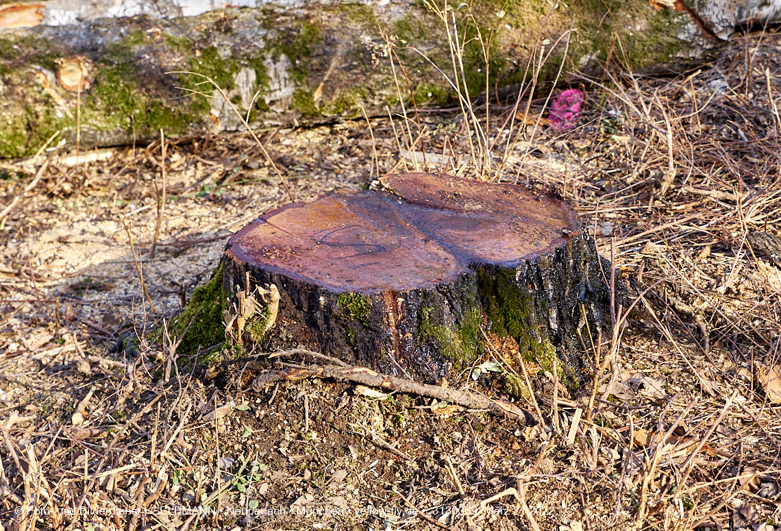 21.03.2022 - Baustelle am Haus für Kinder in Neuperlach